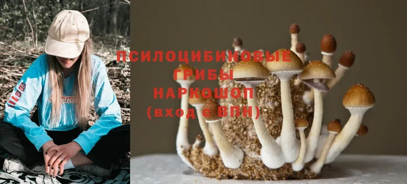 Галлюциногенные грибы Magic Shrooms  мега ССЫЛКА  Бугульма 